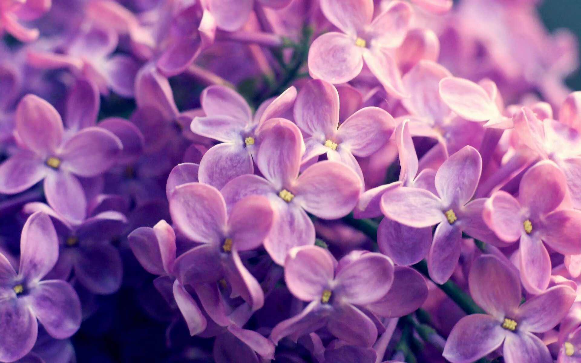 当孔德成为节拍器，摩洛哥如何用一场战术交响乐击溃美国